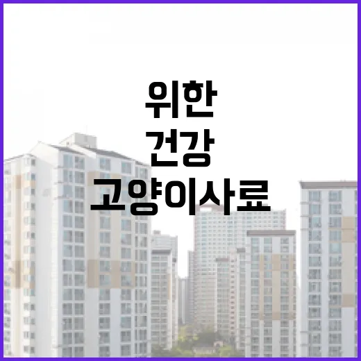 고양이사료를 선택하는 방법: 건강과 만족을 위한 가이드 - 요약