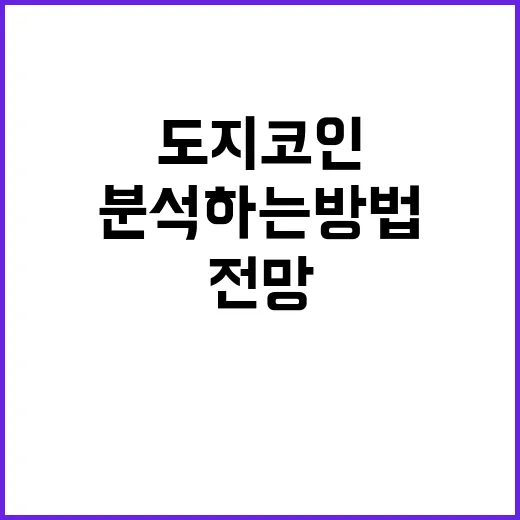 도지코인 전망을 분…