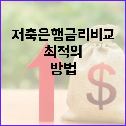 최적의 저축은행 금리 비교 방법 - 요약