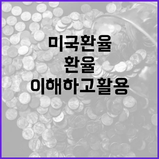 미국 환율을 이해하고 활용하는 방법 - 요약
