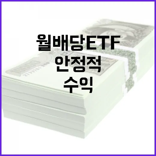 월배당 ETF로 안정적인 수익을 창출하는 방법 - 요약
