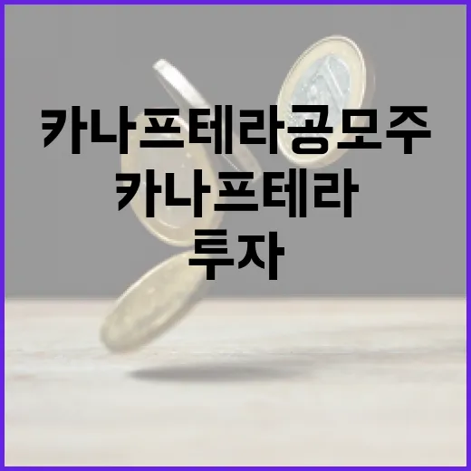 카나프테라 공모주 투자하는 방법 - 요약