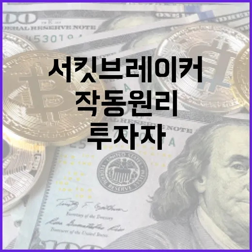 서킷브레이커의 작동 원리와 투자자 보호 방법 - 요약