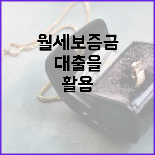 월세보증금 대출을 효과적으로 활용하는 방법 - 요약