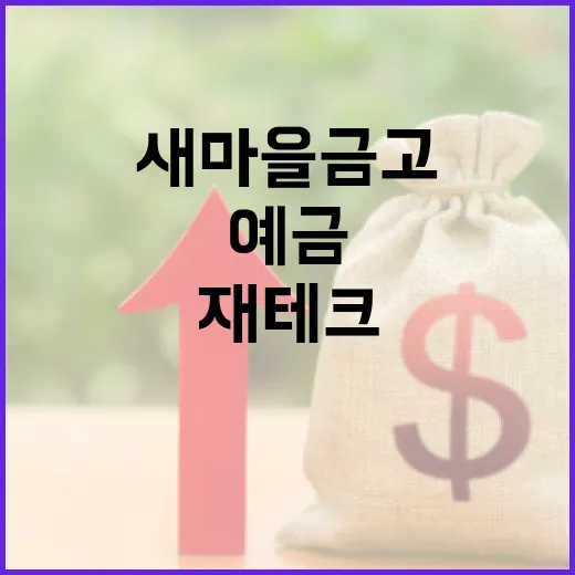 새마을금고 예금으로 재테크 시작하는 방법 - 요약
