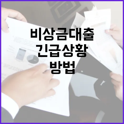 비상금대출을 활용하는 방법: 긴급 상황에서의 금융 관리 - 요약