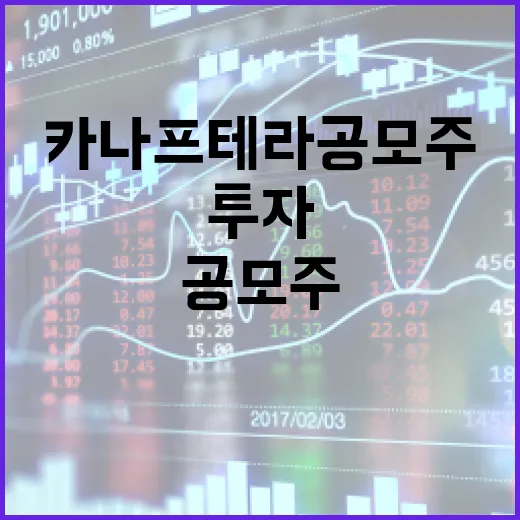 카나프테라 공모주에 투자하는 방법 - 요약