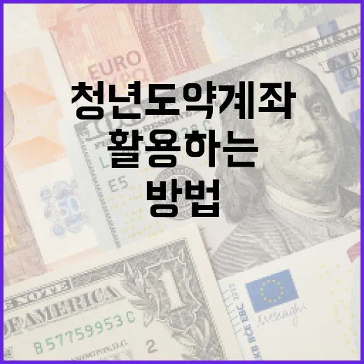 청년도약계좌를 최대한 활용하는 방법 - 요약