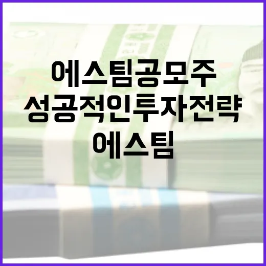 에스팀 공모주 투자 방법: 성공적인 투자 전략 알아보기 - 요약