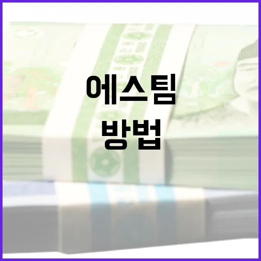 에스팀을 평가하고 활용하는 방법 - 요약