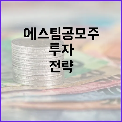 에스팀 공모주에 투자하는 방법과 전략 - 요약