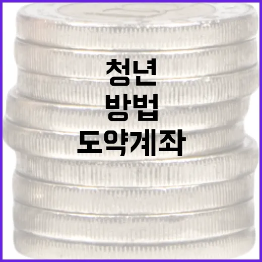 청년도약계좌를 활용하는 방법 - 요약