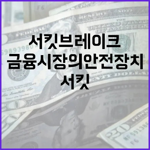 서킷 브레이크란 무엇인가: 금융 시장의 안전 장치 이해하기 - 요약