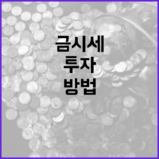 금시세를 이해하고 투자에 활용하는 방법 - 요약