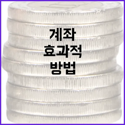 ISA 계좌를 효과적으로 활용하는 방법 - 요약