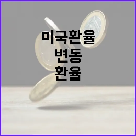 미국환율의 변동을 이해하고 활용하는 방법 - 요약