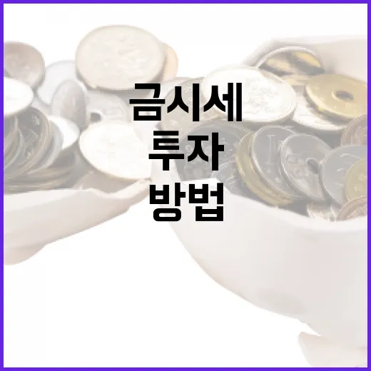 금시세를 이해하고 투자하는 방법 - 요약