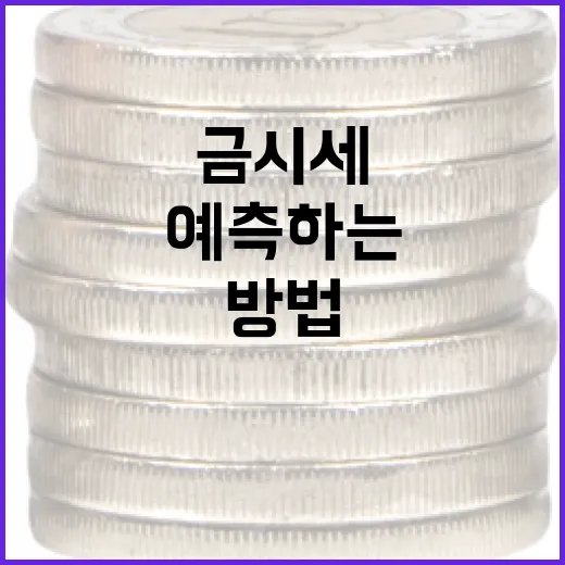 금시세를 이해하고 예측하는 방법 - 요약