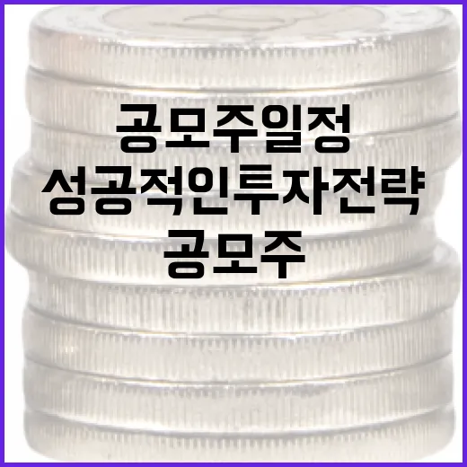 공모주 일정 확인하는 방법: 성공적인 투자 전략 - 요약