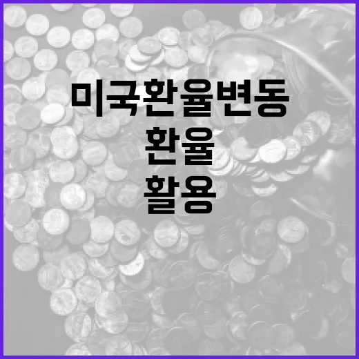 미국환율 변동을 이해하고 활용하는 방법 - 요약