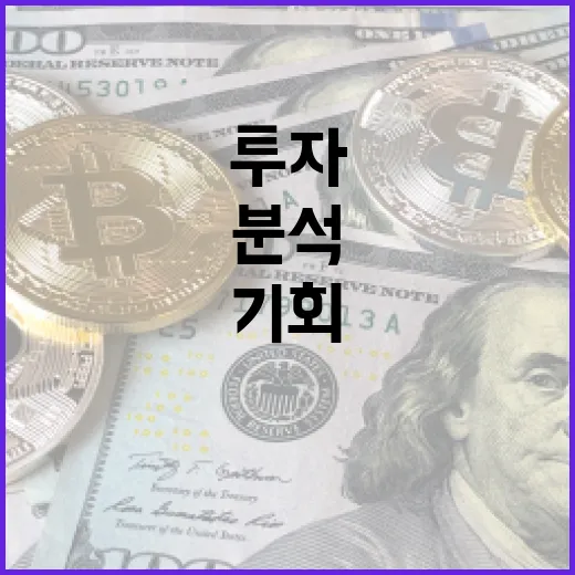 자코모 스포트라이트 분석: 투자 기회를 찾는 방법 - 요약