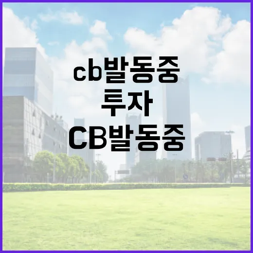 CB발동중일 때 투자 기회 활용하는 방법 - 요약