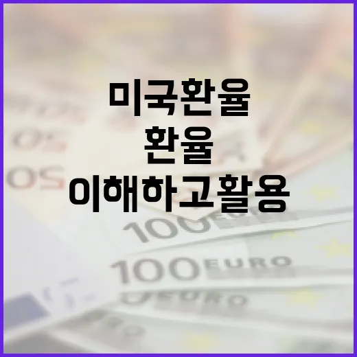 미국 환율을 이해하고 활용하는 방법 - 요약