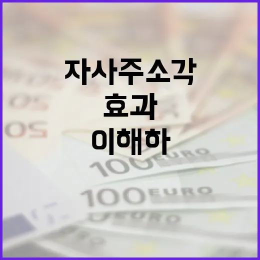 자사주 소각의 의미와 효과 이해하기 - 요약