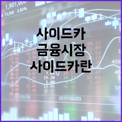 사이드카란? 금융 시장에서의 의미와 활용 방법 - 요약