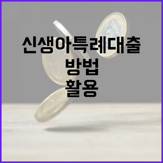 신생아 특례대출을 활용하는 방법 - 요약