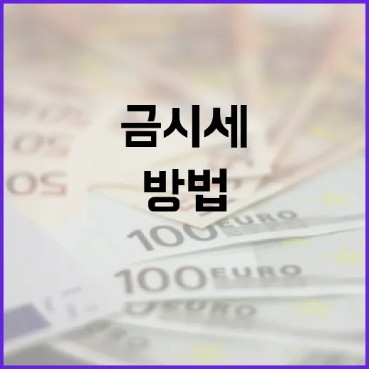 금시세 추적 및 분석하는 방법 - 요약