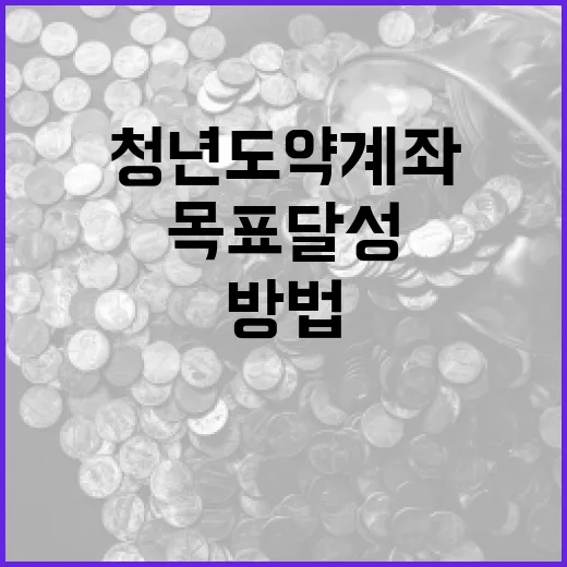 청년도약계좌를 활용하여 재정적 목표 달성하는 방법 - 요약