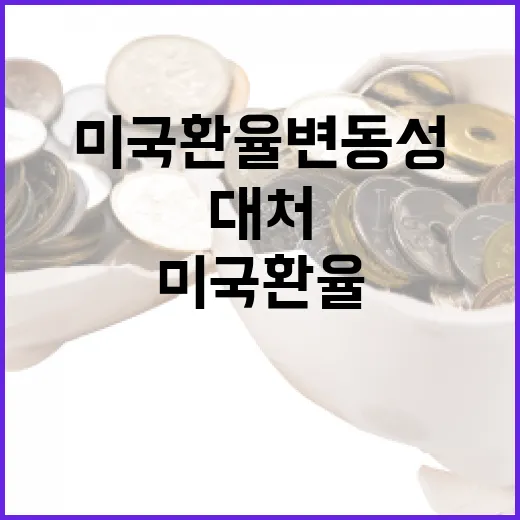 미국환율 변동성을 이해하고 대처하는 방법 - 요약