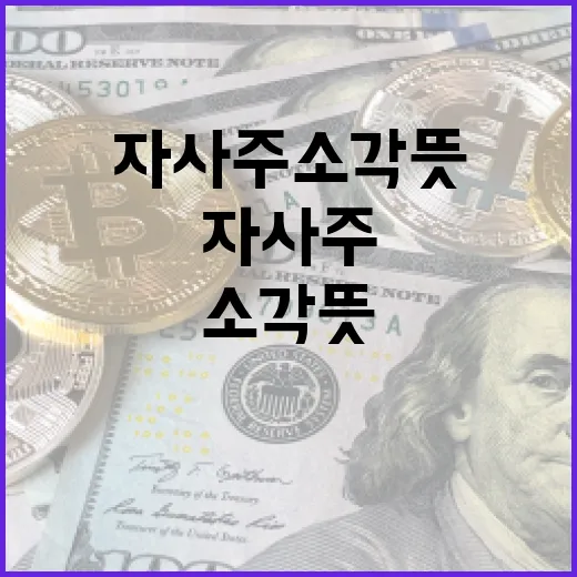 자사주 소각 뜻과 효과적으로 활용하는 방법 - 요약