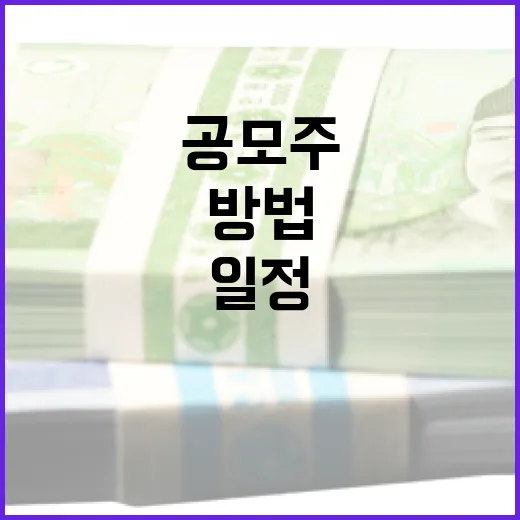 공모주 일정을 효과적으로 관리하는 방법 - 요약