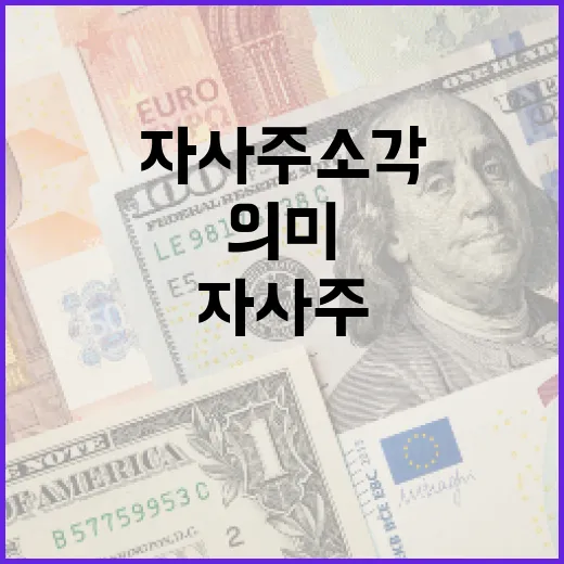 자사주 소각의 의미와 이를 활용하는 방법 - 요약