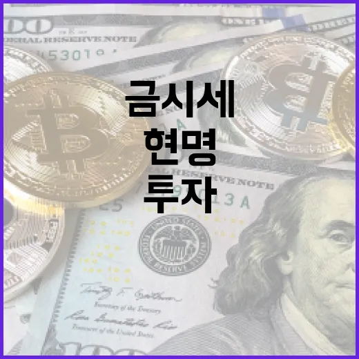 금시세를 이해하고 현명하게 투자하는 방법 - 요약