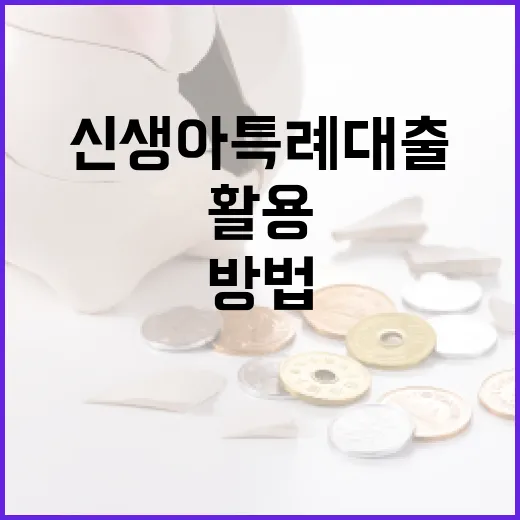 신생아 특례대출을 효과적으로 활용하는 방법 - 요약