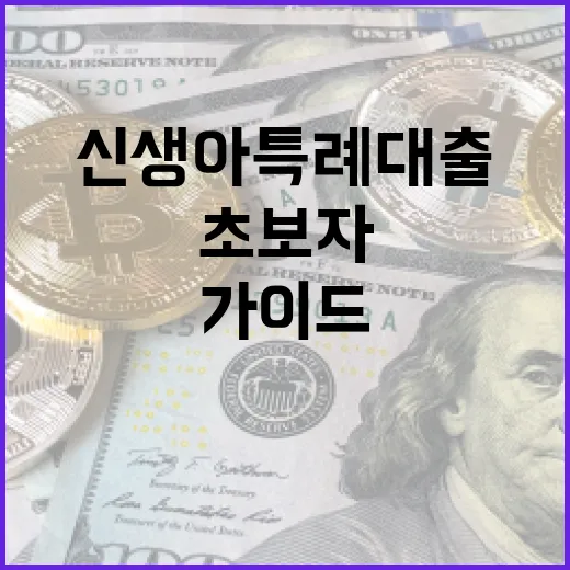 신생아 특례대출을 활용하는 방법: 초보자 가이드 - 요약