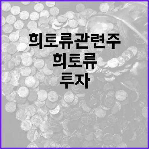 희토류 관련주에 투자하는 방법 - 요약