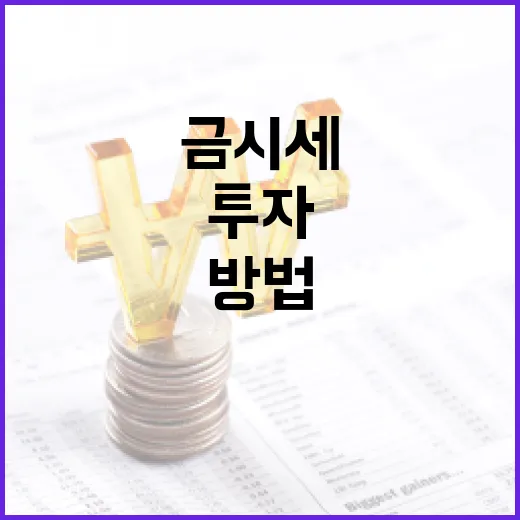 금시세를 이해하고 투자하는 방법 - 요약