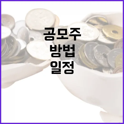 효율적으로 공모주 일정을 관리하는 방법 - 요약