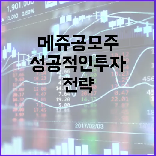 메쥬 공모주에 투자하는 방법: 성공적인 투자를 위한 전략 - 요약