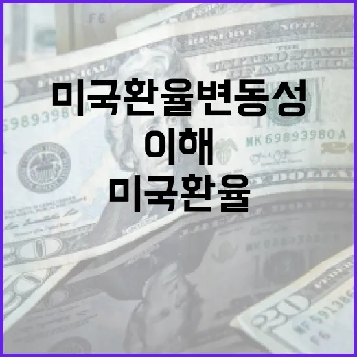 미국 환율 변동성 이해하는 방법 - 요약