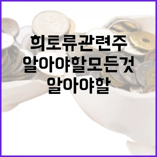 희토류 관련주에 투자하는 방법: 알아야 할 모든 것 - 요약