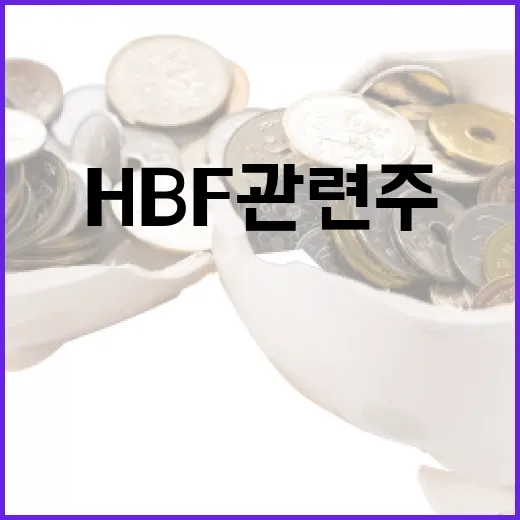 HBF 관련주에 투자하는 방법 - 요약