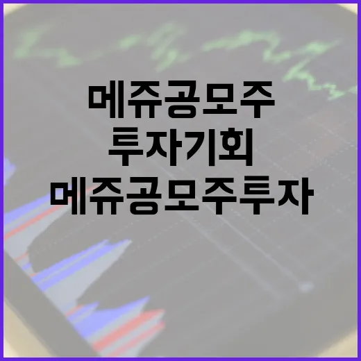 메쥬 공모주 투자 기회를 잡는 방법 - 요약