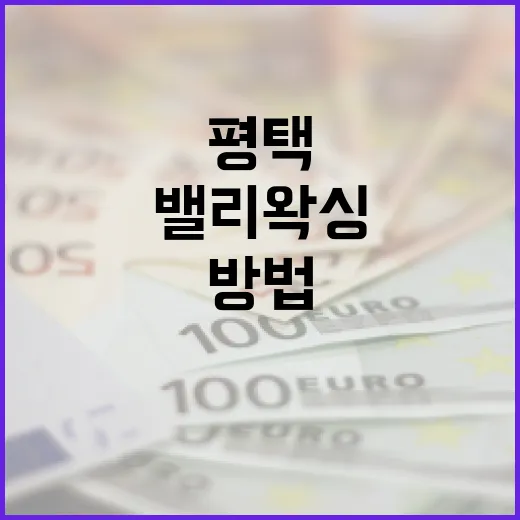 평택에서 밸리왁싱을 받는 방법 - 요약