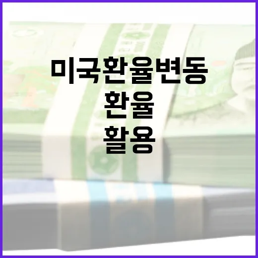 미국 환율 변동을 이해하고 활용하는 방법 - 요약