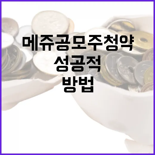 메쥬 공모주 청약을 성공적으로 진행하는 방법 - 요약